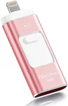 Apple MFi Certified 256GB Flash Dri