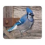 CafePress Rustic Barn Wood Blue Jay Mousepad Non-Slip Rubber Mousepad, Gaming Mouse Pad