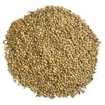 Copdock Mill White Millet Bird Food 20kg Bulk bag of White Millet feed for Wild birds