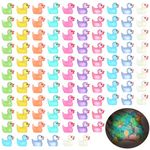 HEQU 100 Pcs Mini Luminous Resin Ducks, Tiny Ducks for Family Crafts Aquarium Garden Landscape Dollhouse Ornament Potted Decorations DIY (Multicolored)