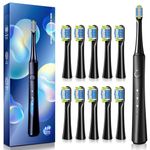 TEETHEORY Upgraded Version-Sonic Electric Toothbrush for Adults with 10 Brush Heads, Power Electric Toothbrush with 40000 VPM 3 Modes