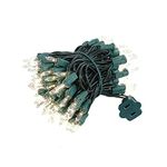 Novelty Lights 100 Light Clear Christmas Mini Light Set, Green Wire, 22' Long