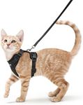 rabbitgoo Cat Harness and Lead Set,