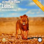 2025 Lions Monthly Wall Calendar by Bright Day, 12 x 12 Inch