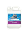 Bluewater 2ltr Longlife Algaecide - Swimming Pool Chemicals