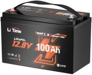 Litime 12V 100Ah OBM Bluetooth Low-Temp Protection LiFePO4 Battery Buit in 100A BMS, Group 31 Deep Cycle Lithium Iron Phosphate Battery Perfect for Trolling Motors,Yacht, Marine, Boat, RV,Home