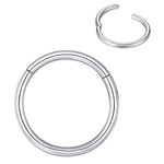 BLESSMYLOVE Nose Rings Hoop Silver 18G 8mm 316L Surgical Steel Cartilage Earrings Conch Daith Helix Rook Tragus Lobe Snug Body Piercing Jewelry 18 gauge Stainless Steel Hinged Segment Rings Lip Rings