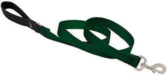 Dog Leash by Lupine in 1" Wide Green 6-Foot Long with Padded Handle