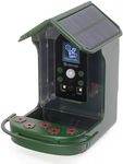 Denver Bird Feeder Camera – Motion Activated Video & Photo, Solar Bird Camera with Infra-Red Night Vision - Video Bird Feeder