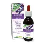 Blackcurrant (Ribes nigrum) Leaves and Fruits Alcohol-Free Mother Tincture Naturalma - Liquid Extract Drops 120 ml - Food Supplement - Vegan