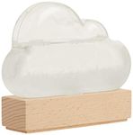 Storm Cloud: A Weather Predicting Instrument (Weather Predictor, Fun Cloud-Shaped Barometer)