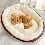 CARESFUL Polypropylene Dog Bed For Dogs & Cats, Durable Warm Dog Bed, Washable Sleeping Puppy Bed, Soft Calming Cat Beds For Indoor,Outdoor (Medium Brown)