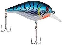 Berkley Flicker Shad Shallow Fishing Lure, Blue Tiger, 2/7 oz, 2 3/4in | 7cm Crankbaits, Size, Profile and Dive Depth Imitates Real Shad, Equipped with Fusion19 Hook