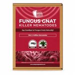 Fungus Gnat Killer Nematodes 10 m² (5 million) Indoor Plants - Effective Biological Control, Ideal Gnats Killer Indoor Plants, Comprehensive Scairid Fly Killer for Houseplants