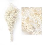 MIHUAGE Baby’s Breath Dried Flowers Bundles Gypsophila Real White Natural Flower 17” 3oz for Wedding DIY Arrangements Home Decorations