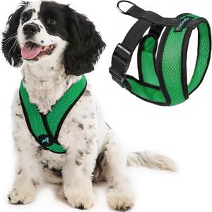 Gooby Comfort X Head in Harness - Hunter Green, Small - No Pull Small Dog Harness Patented Choke-Free X Frame - On The Go Dog Harness for Medium Dogs No Pull or Small Dogs for Indoor and Outdoor Use