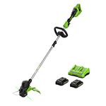 Greenworks 48V (2 x 24V) 15-Inch TORQDRIVE Cordless String Trimmer, (2) 24V 2Ah USB Batteries and 4A Dual Port Charger Included, Green (ST48B2210)