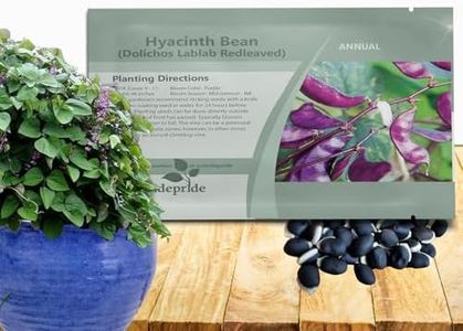 Outsidepride 100 Seeds Perennial Red Dolichos Lablab Hyacinth Bean Vine & Flower Seed for Planting