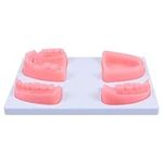 iplusmile Oral Suture Training Model Silicone Dental Suture Pad Kit for Hospital Students Vets Practicing Suturing and Implants on Soft Gum Teeth Pink