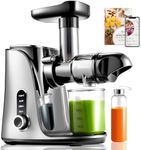 AMZCHEF Cold Press Juicer with 2 Speed Control - High Juice Yield Juicer Machines with Ultradense Filter - Masticating Slow Juicer for Whole Fruit and Vegetable - 1 Bottle and 2 Cups - Silver