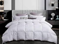 MARTHA STEWART 300 Thread Count Sat