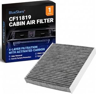 BlueStars CF11819 CP819 Premium Activated Cabin Carbon Air Filter - Compatible with Hyundai Sonata Azera Santa Fe, Kia Optima Cadenza Sedona, Chevy Equinox, GMC Terrain - Replaces 13356914 13356916