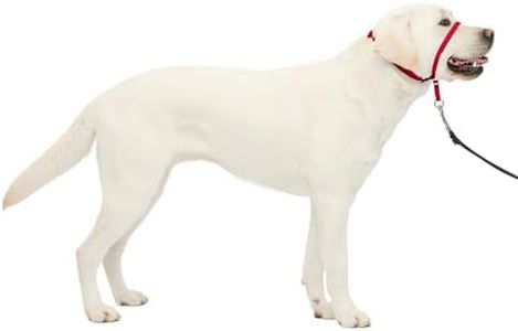 PetSafe Ge