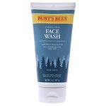 Burt's Bees Mens Facewashes