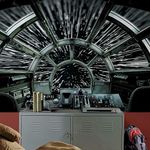 RoomMates Star Wars Millennium Falcon Peel and Stick Mural