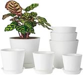 LaDoVita 7 Pack Plastic Plant Pots 