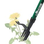 Landzie Weeder Weed Puller Tool, 55 Inch Steel Stand Up Weed Puller with Long Handle