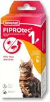 Beaphar - FIPROtec Spot-On Flea & Tick Treatment for Cats - 1 Pipette - Kills Fleas & Ticks - Veterinary Medicine - Easy to Apply Monthly - For Cats & Kittens from 8 Weeks Old, Weighing Over 1kg