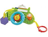 Fisher-Price DYW53 Rolling and Strolling Dashboard Activity Toy