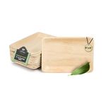 ECONUS [ 9x6 inch, 25-Pack Areca Palm Leaf Rectangular Plates | Disposable Eco-Friendly Biodegradable Like Bamboo Plates | Party, Wedding, Event Plates