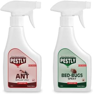 Pestly Ant