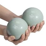 Navaris Pilates Toning Balls - Small Weighted Balls for Exercise - Pilates Weight Ball Set Plyometrics Fascia Training Mobilization Exercises Core Control - 2.2lb (1kg) Set of 2