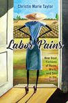 Labor Pains: New Deal Fictions of Race, Work, and Sex in the South (Margaret Walker Alexander Series in African American Studies)