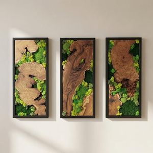 Set of 3 Wood and Moss Wall Art, Large Natural Greenery Statement Decor, Rustic Framed Forest Panels for Bedroom, Biophilic Gallery Wall Display