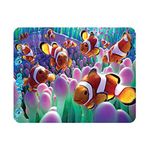 Deluxebase 3D LiveLife Magnet - Clown Fish from Lenticular 3D Ocean Fridge Magnet. Magnetic decor for kids and adults with artwork licensed from renowned artist, David Penfound