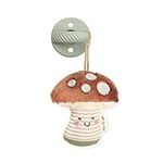 Itzy Ritzy Pacifier and Lovey Set; Detachable Plush Mushroom and Coordinating Green Silicone Pacifier; Ideal for Ages 0 Months and Up, Mushroom