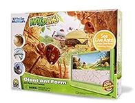 Uncle Milton Giant Ant Farm - Large Viewing Area - Care for Live Ants - Nature Learning Toy - Science DIY Toy Kit - Great Gift for Boys & Girls, Green