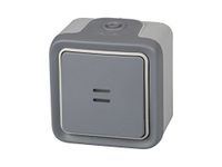 Legrand 191513 Plexo Light Switch, Grey