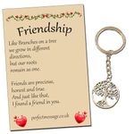 Perfect Message Ltd Gift for Friends Friendship Inspirational Keyring Tree of LIfe Keyring