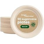 HAAGO - 96 Sugarcane Bagasse Plates for Garden Parties, Weddings, BBQs | Eco-Friendly, Biodegradable, Compostable - 26cm / 10-inch (96)