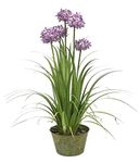 Garden Art Artificial (Height 114 cm) Natural Looking Allium Grass Plant with Zinc Metal Pot for Home, Office, Party, Wedding Decor, GAB0008