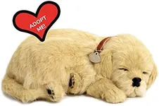 Perfect Petzzz - Original Petzzz Go