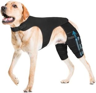 Pawfun Dog Knee Brace for Torn ACL Hind Leg, Dog Leg Braces for Back Leg Support with 4 Metal Stabilizers Helps with Torn CCL, Luxating Patella, Ligament Injuries, Hip Dysplasia,XXL