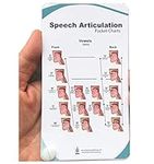 Speech articulation Anatomy Pocket Charts