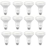 Philips LED Dimmable Light Bulb