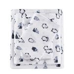 Intelligent Design Cozy Soft 100% Cotton Flannel Print Animals Stars Cute Warm, Ultra Soft Cold Weather Sheet Set Bedding, Queen, Blue Penguins 4 Piece